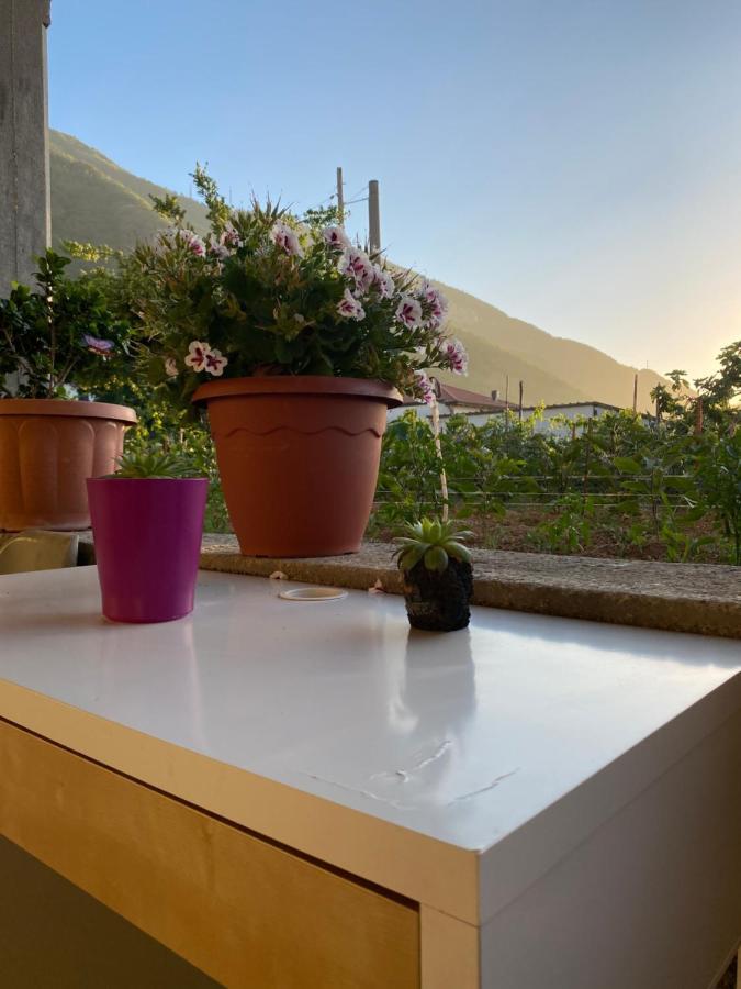הוילה פימונטה Casa Antonia מראה חיצוני תמונה